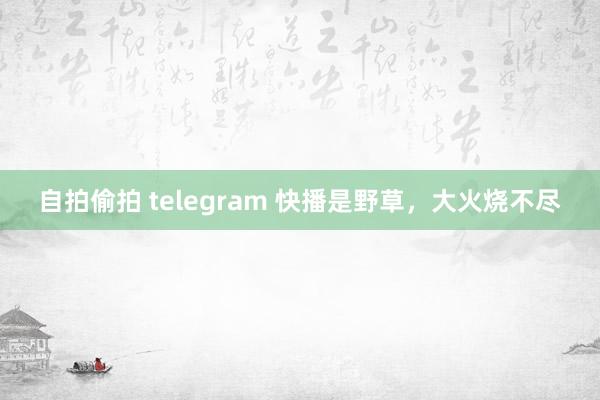 自拍偷拍 telegram 快播是野草，大火烧不尽