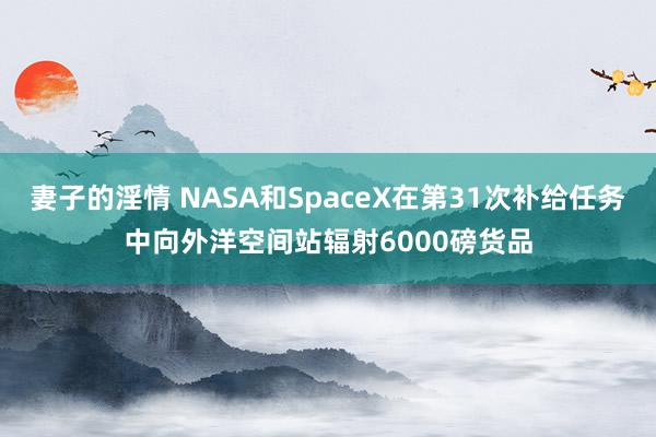 妻子的淫情 NASA和SpaceX在第31次补给任务中向外洋空间站辐射6000磅货品