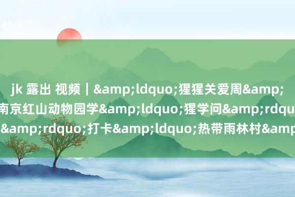 jk 露出 视频｜&ldquo;猩猩关爱周&rdquo;行径延续，快来南京红山动物园学&ldquo;猩学问&rdquo;打卡&ldquo;热带雨林村&rdquo;