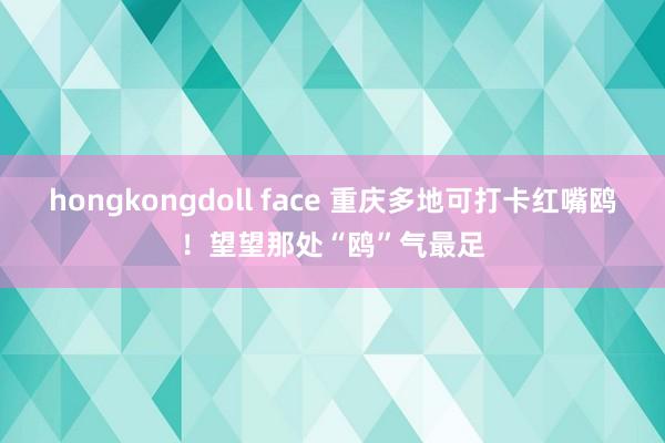 hongkongdoll face 重庆多地可打卡红嘴鸥！望望那处“鸥”气最足