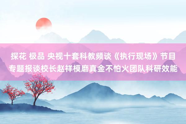 探花 极品 央视十套科教频谈《执行现场》节目专题报谈校长赵祥模磨真金不怕火团队科研效能
