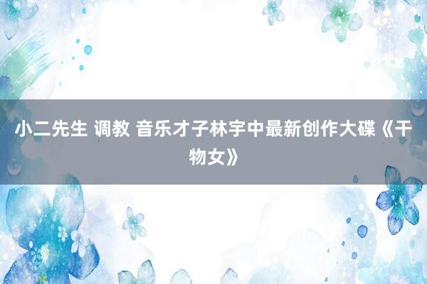 小二先生 调教 音乐才子林宇中最新创作大碟《干物女》