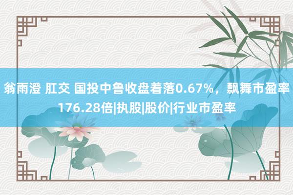 翁雨澄 肛交 国投中鲁收盘着落0.67%，飘舞市盈率176.28倍|执股|股价|行业市盈率