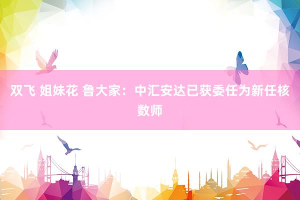 双飞 姐妹花 鲁大家：中汇安达已获委任为新任核数师
