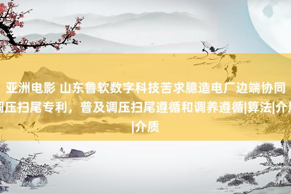 亚洲电影 山东鲁软数字科技苦求臆造电厂边端协同调压扫尾专利，普及调压扫尾遵循和调养遵循|算法|介质