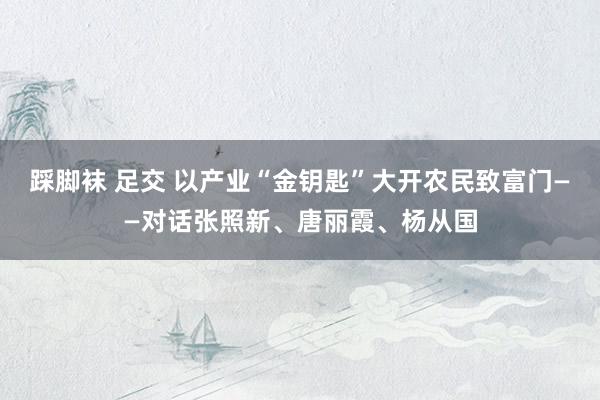 踩脚袜 足交 以产业“金钥匙”大开农民致富门——对话张照新、唐丽霞、杨从国