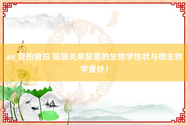 av 自拍偷拍 脑膜炎奈瑟菌的生物学性状与微生物学查抄！
