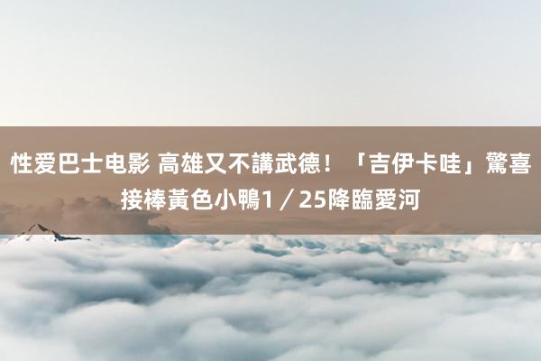 性爱巴士电影 高雄又不講武德！「吉伊卡哇」驚喜接棒黃色小鴨　1／25降臨愛河
