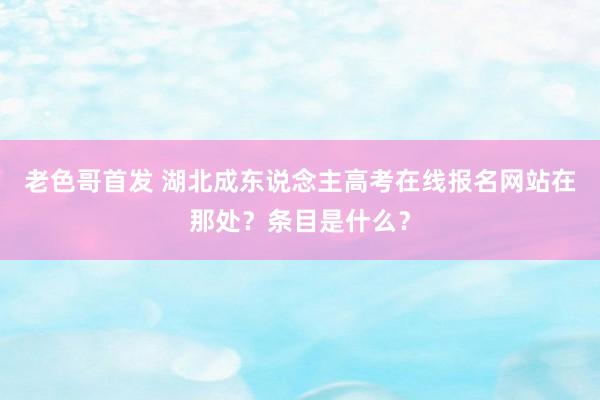 老色哥首发 湖北成东说念主高考在线报名网站在那处？条目是什么？