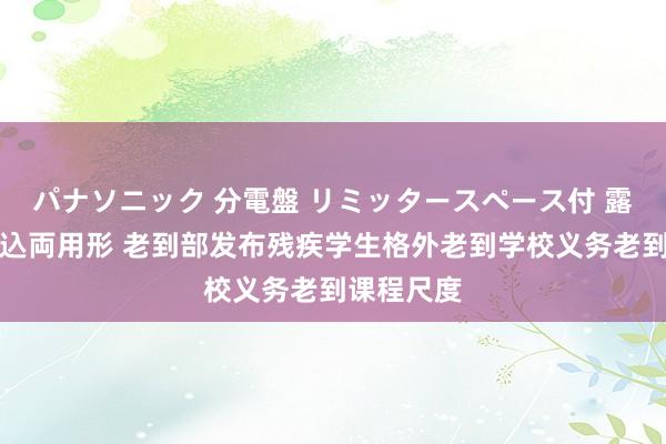 パナソニック 分電盤 リミッタースペース付 露出・半埋込両用形 老到部发布残疾学生格外老到学校义务老到课程尺度