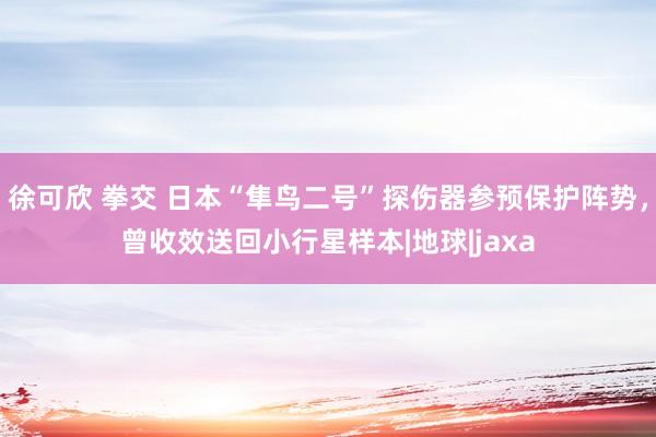 徐可欣 拳交 日本“隼鸟二号”探伤器参预保护阵势，曾收效送回小行星样本|地球|jaxa