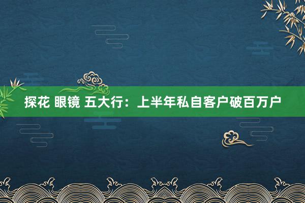 探花 眼镜 五大行：上半年私自客户破百万户