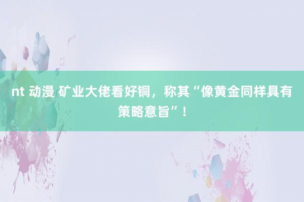 nt 动漫 矿业大佬看好铜，称其“像黄金同样具有策略意旨”！