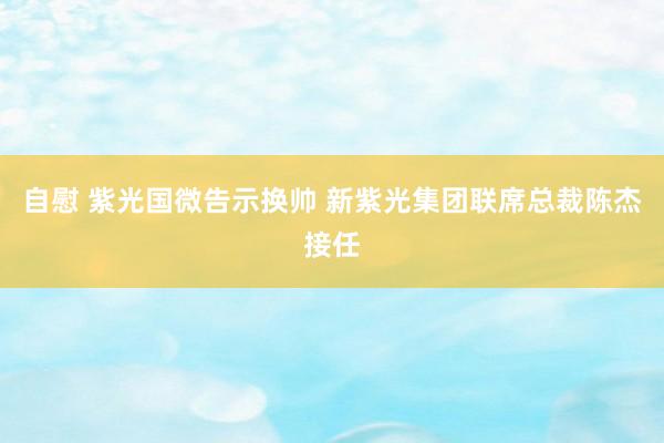 自慰 紫光国微告示换帅 新紫光集团联席总裁陈杰接任