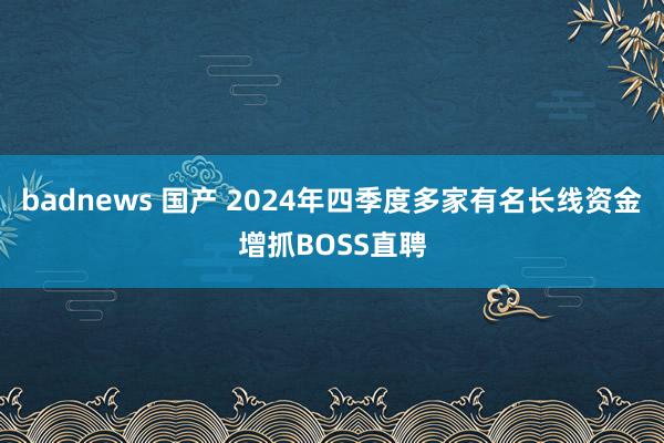 badnews 国产 2024年四季度多家有名长线资金增抓B