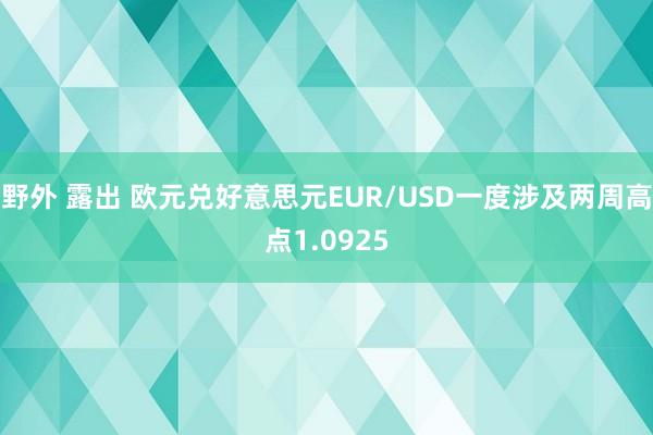 野外 露出 欧元兑好意思元EUR/USD一度涉及两周高点1.