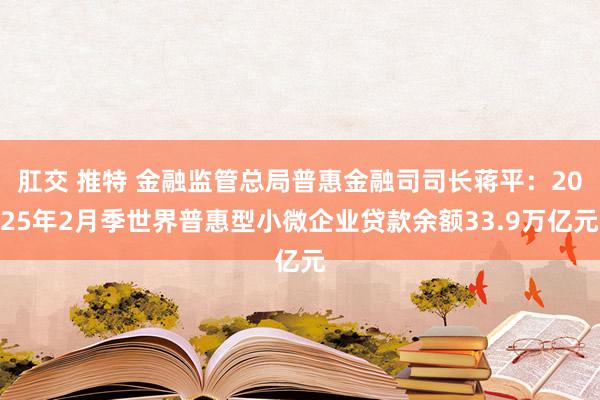 肛交 推特 金融监管总局普惠金融司司长蒋平：2025年2月季